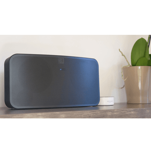 Bluesound PULSE 2i Portable Wireless Bluetooth Multi-Room Streaming Speaker (Each)